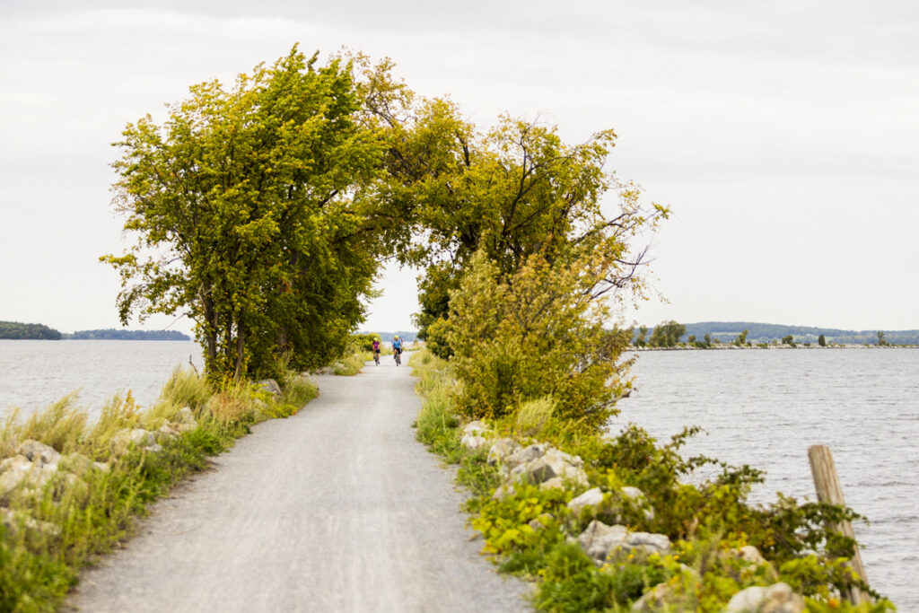 Three cyclists ride along a tree-lined gravel path flanked by water on both sides, with golden-green foliage arching overhead.