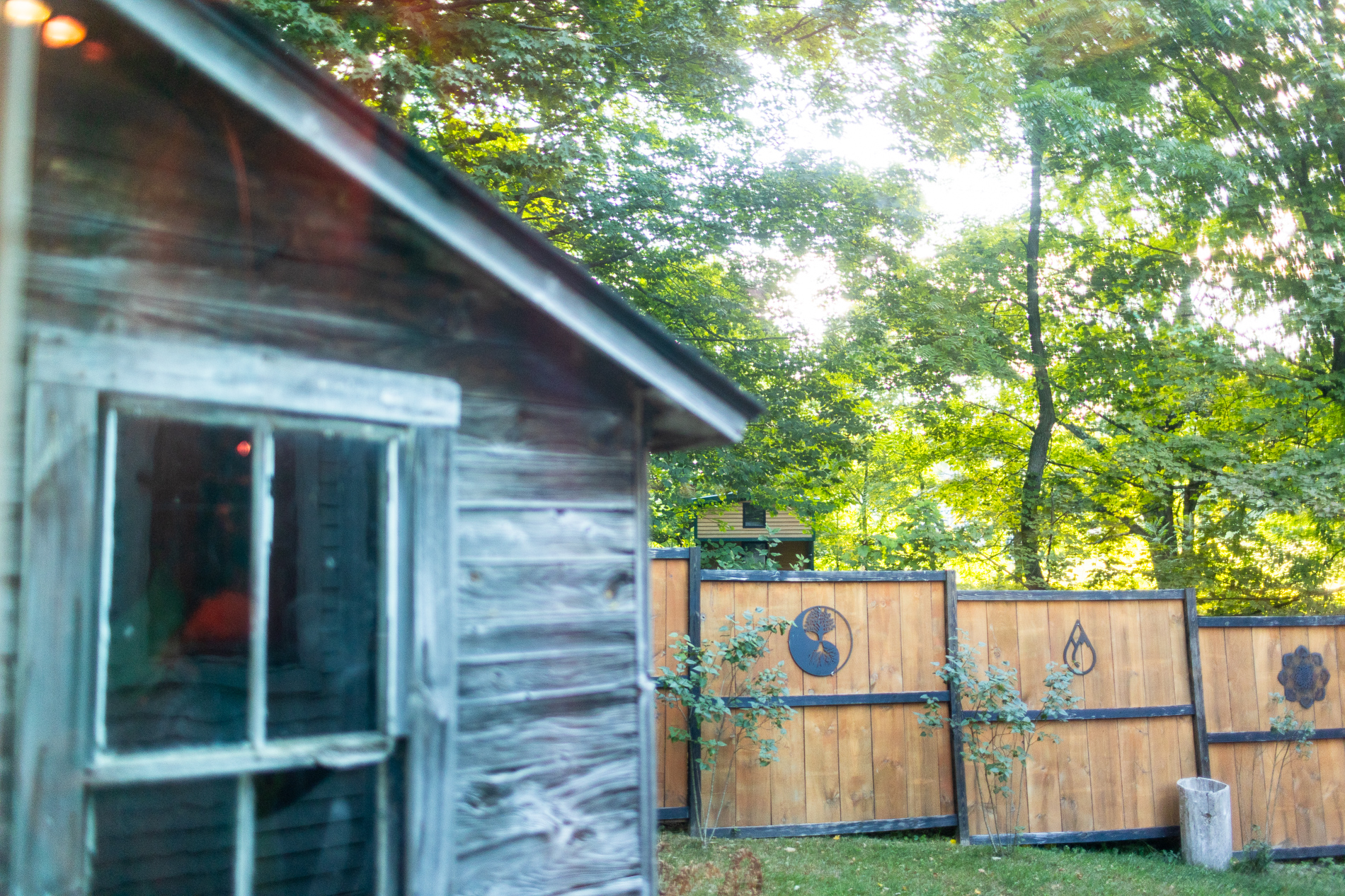 Rustic wooden shed in a backyard with a decorative wooden fence and lush green trees.