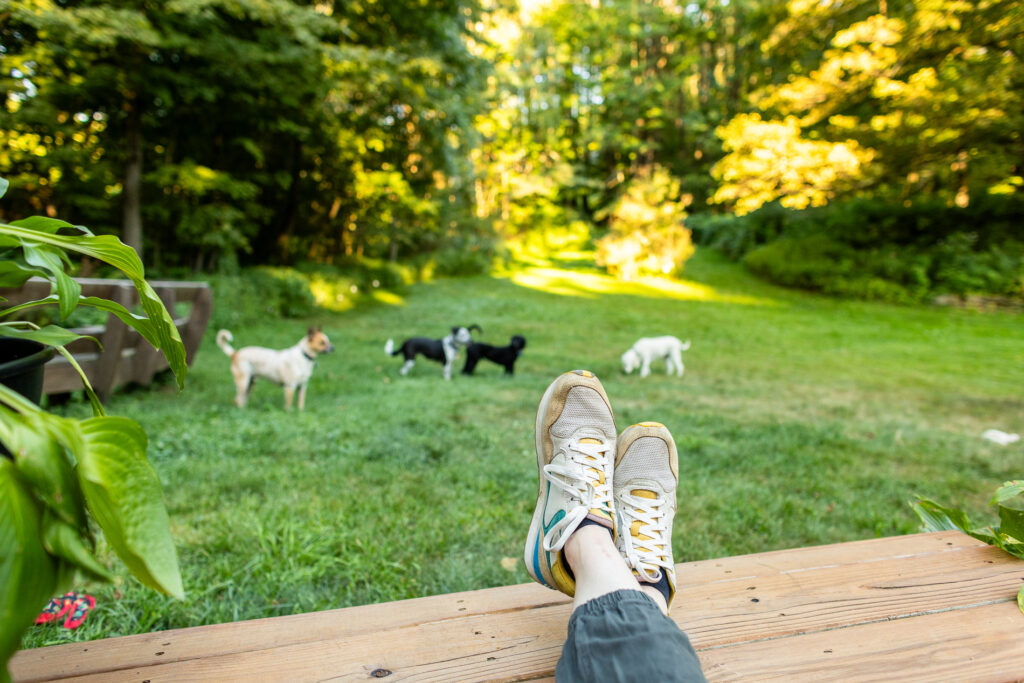 A person relaxes on a wooden deck with feet up, overlooking a grassy yard where four dogs play in the yard.