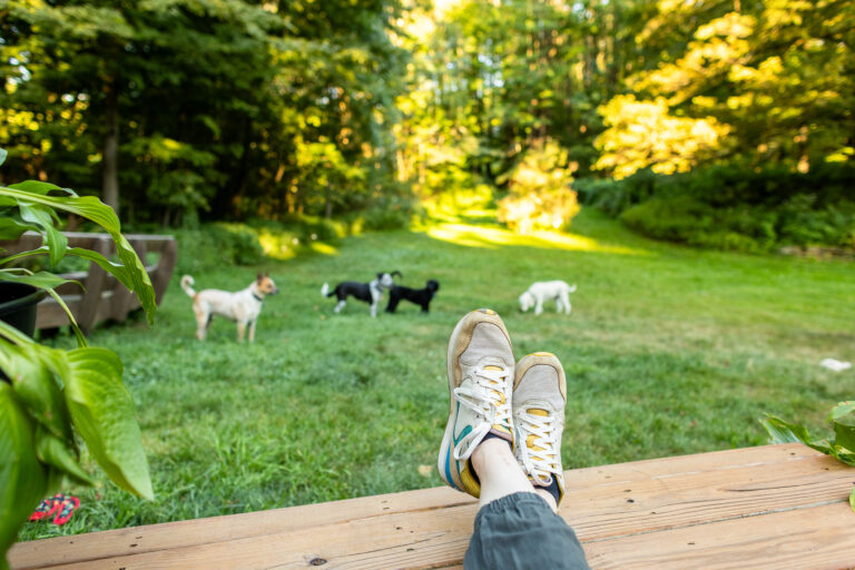 A person relaxes on a wooden deck with feet up, overlooking a grassy yard where four dogs play in the yard.