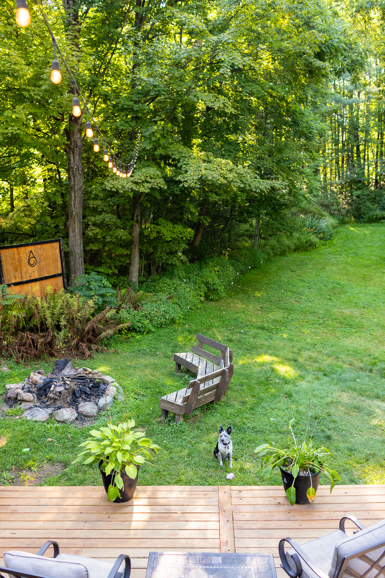 Dog sits near a firepit in a backyard with wooden benches, potted plants, string lights, and a forested backdrop.