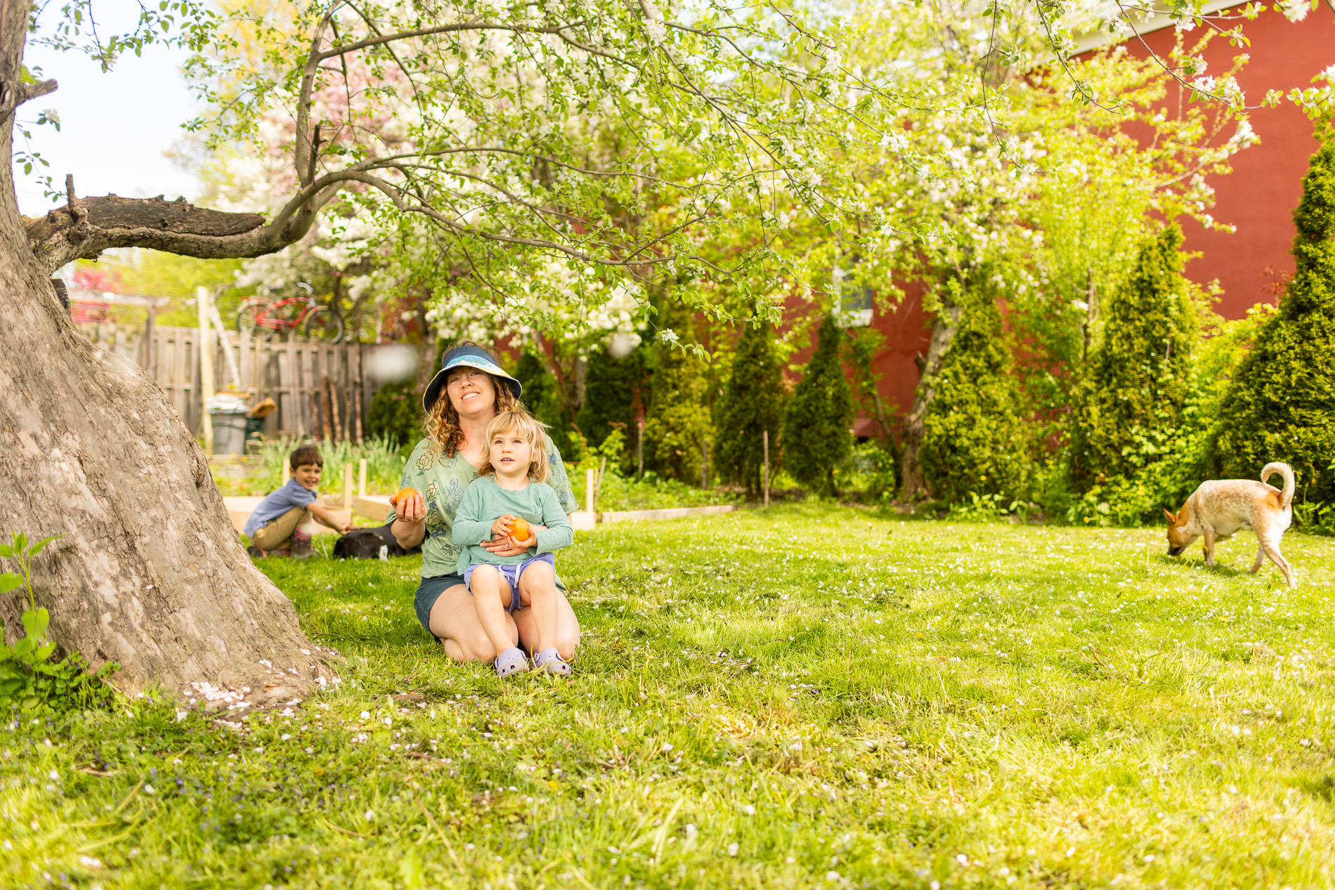 Smiling parent sits under a blooming tree with young children and a dog nearby in a sunny backyard garden, holding fresh-picked fruit.
