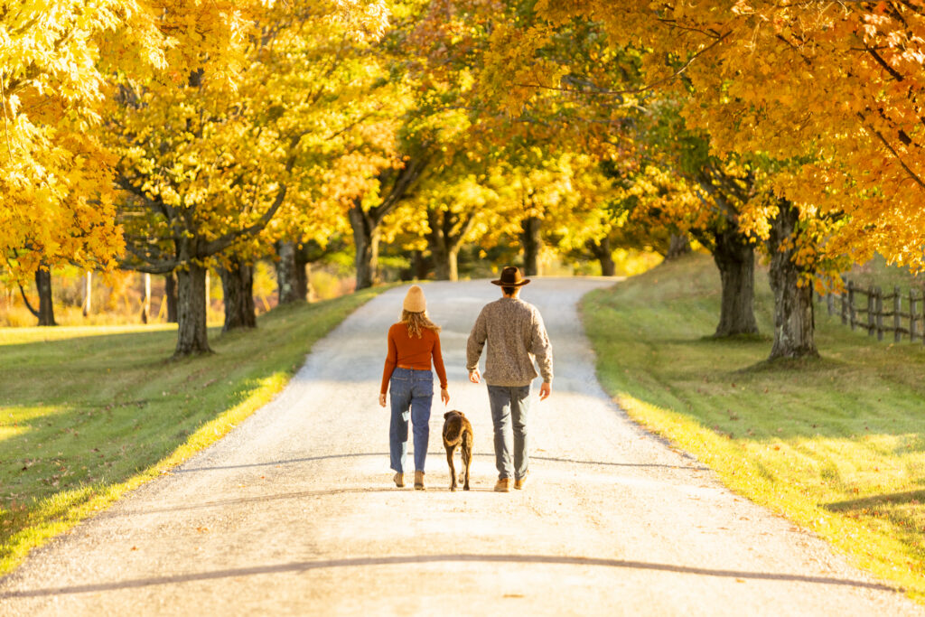 A couple walking together down a gravel road with their dog surrounded by trees changing color