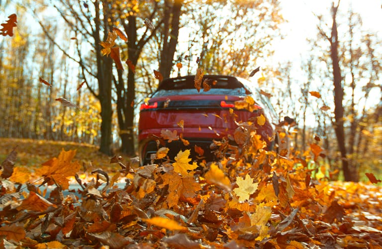 Woman smiling and hanging out of car window in woods